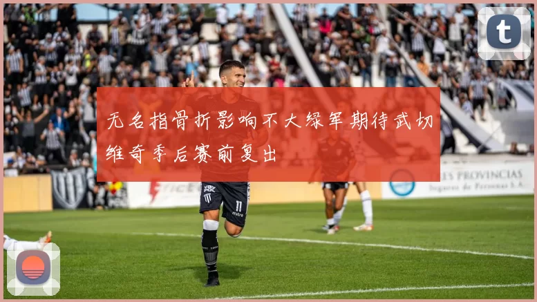 无名指骨折影响不大绿军期待武切维奇季后赛前复出