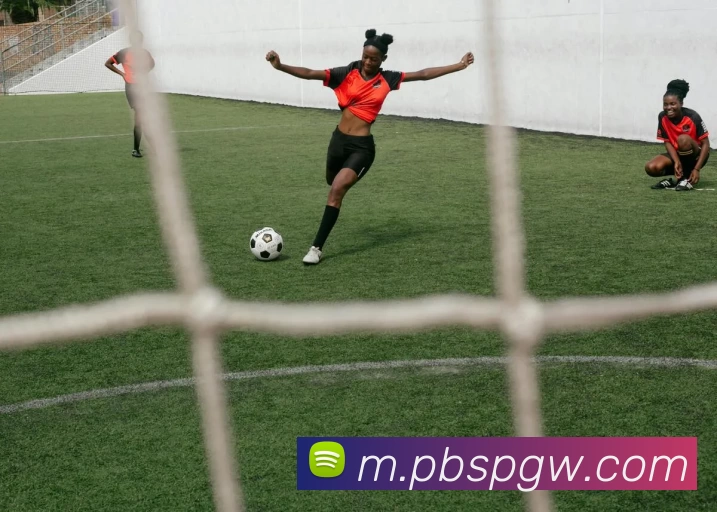 平博体育官网平台生态图