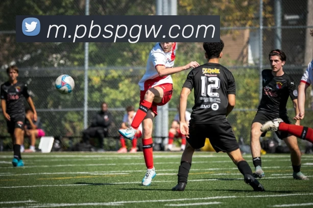 平博体育官网APP 封面图